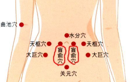 盲俞穴→治腹胀、便秘