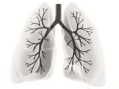 肺是气机的中转站
