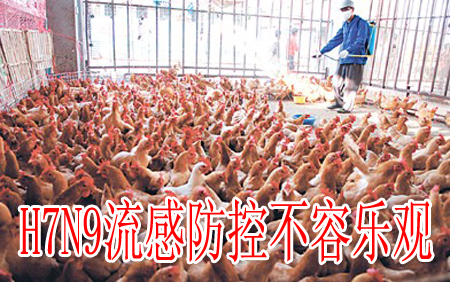 H7N9流感防控不容乐观