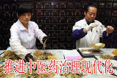 推进中医药治理现代化