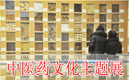 中医药文化主题展