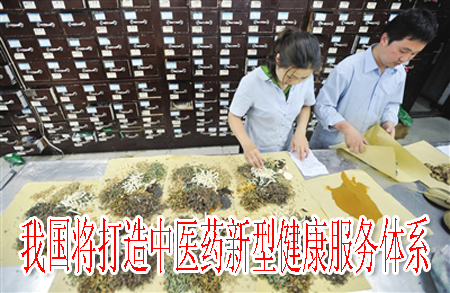 我国将打造中医药新型健康服务体系