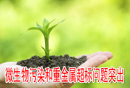 微生物污染和重金属超标问题突出