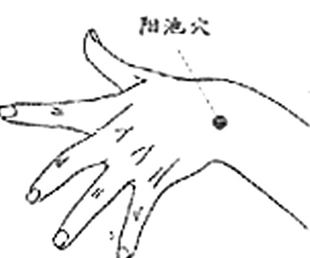 阳池穴→舒筋活血