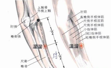 温溜穴→清热理气