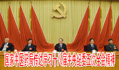 国家中医药局传达学习十八届中央纪委五次全会精神