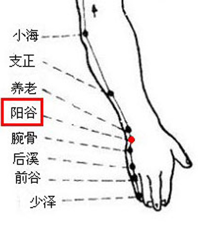 阳谷穴→明目安神