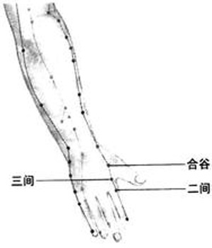 三间穴→治牙痛、腹胀