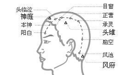 目窗穴→明目开窍