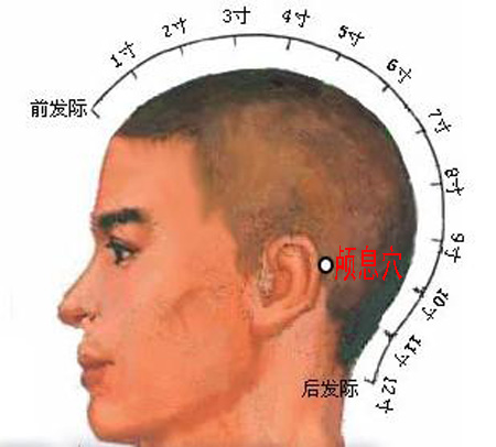 颅息穴→治头痛、耳痛