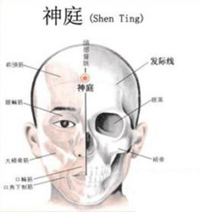 神庭穴→治头痛、目翳