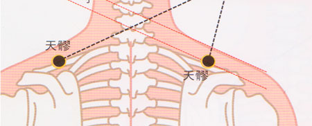 天髎穴→预防肩关节炎