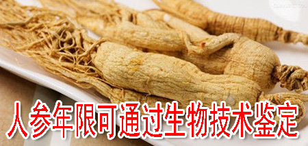 人参年限可通过生物技术鉴定