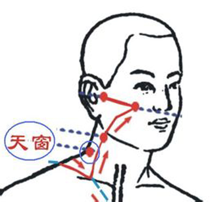 天窗穴→治耳鸣、耳聋