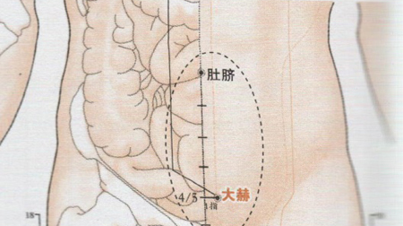 天赫穴→益肾固阳