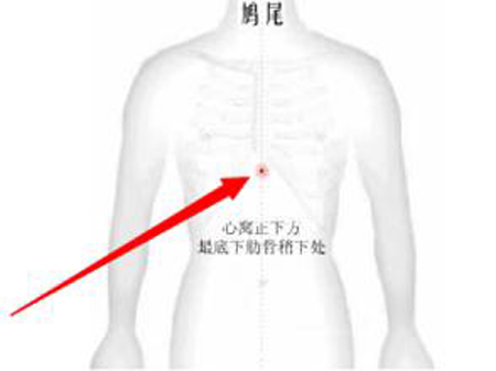 鸠尾穴→镇静宁心