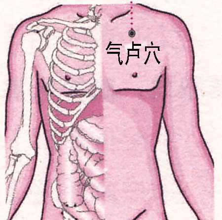 气卢穴→治胸满、胁痛