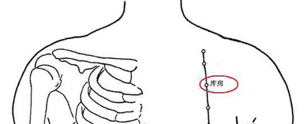 库房穴→治胸胁胀痛