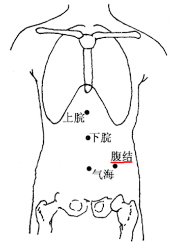 腹结穴→治腹痛、痢疾