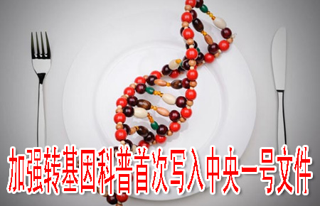 加强转基因科普首次写入中央一号文件