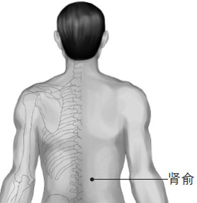 肾俞穴→强腰利水