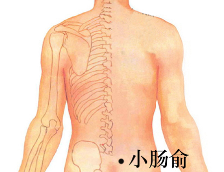 小肠俞穴→清热利湿