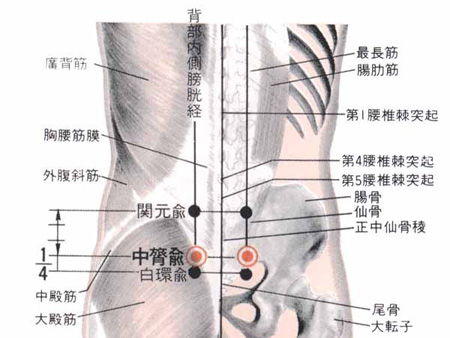 中膂俞穴→益肾温阳