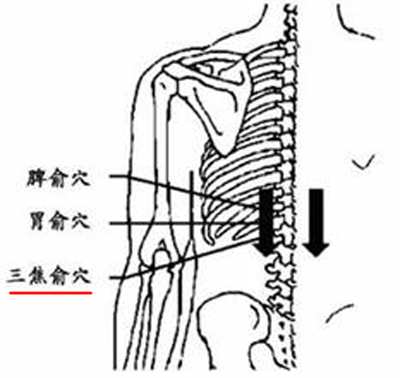 三焦俞穴→强腰利水