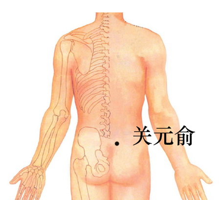 关元俞穴→防治腰酸背痛