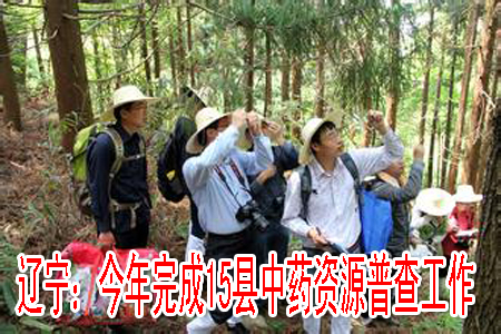 辽宁：今年完成15县中药资源普查工作