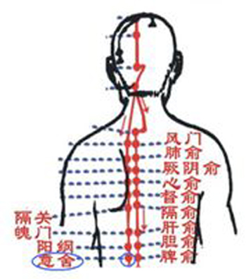 意舍穴→治腹胀、肠鸣