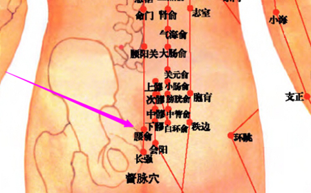 腰俞穴→治腰脊强痛