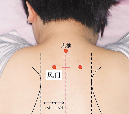 风门穴→治伤风、咳嗽