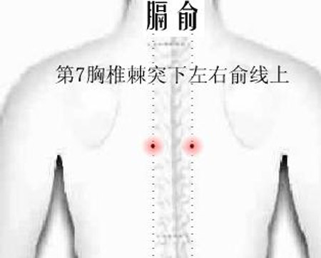 膈俞穴→治呕吐、呃逆