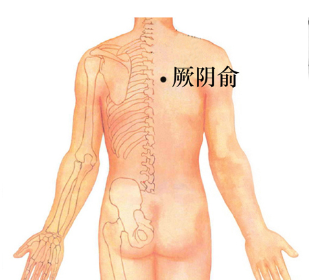 厥阴俞穴→治咳嗽、心痛