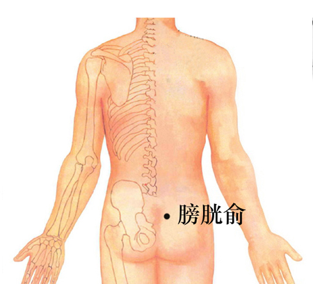 膀胱俞穴→治糖尿病