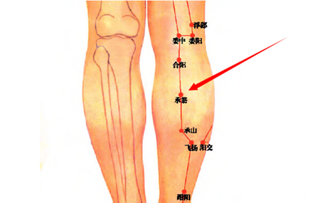 承筋穴→强健腰膝