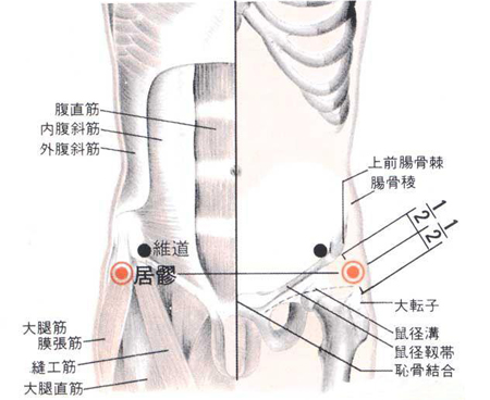 居髎穴→治腰腿痹痛