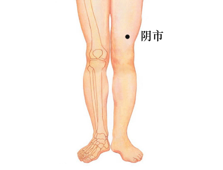 阴市穴→治腿膝痿痹