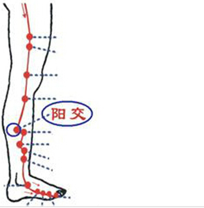 阳交穴→治胸肋胀满疼痛