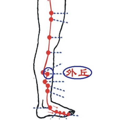 外丘穴→治颈项强痛