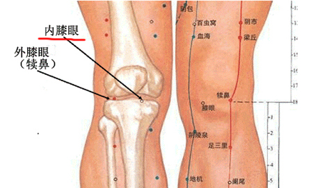 膝眼穴→治膝关节酸痛