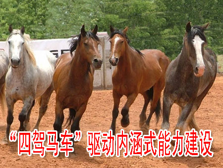 “四驾马车”驱动内涵式能力建设