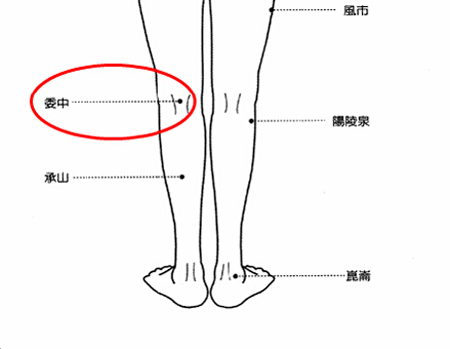 委中穴→治腰痛、腹痛。