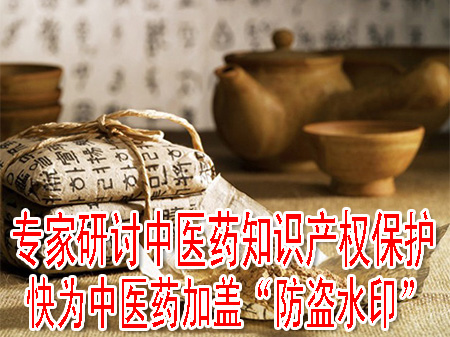 专家研讨中医药知识产权保护　快为中医药加盖“防盗水印”