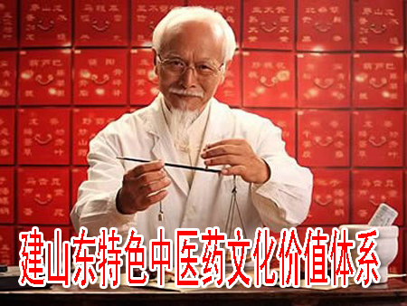建山东特色中医药文化价值体系