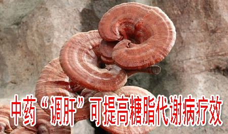 中药“调肝”可提高糖脂代谢病疗效