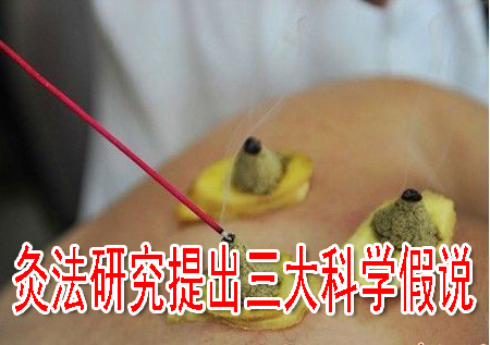 灸法研究提出三大科学假说