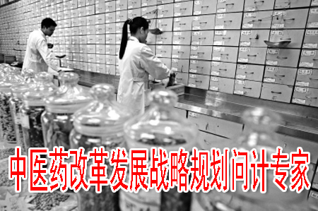 中医药改革发展战略规划问计专家