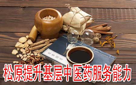松原提升基层中医药服务能力